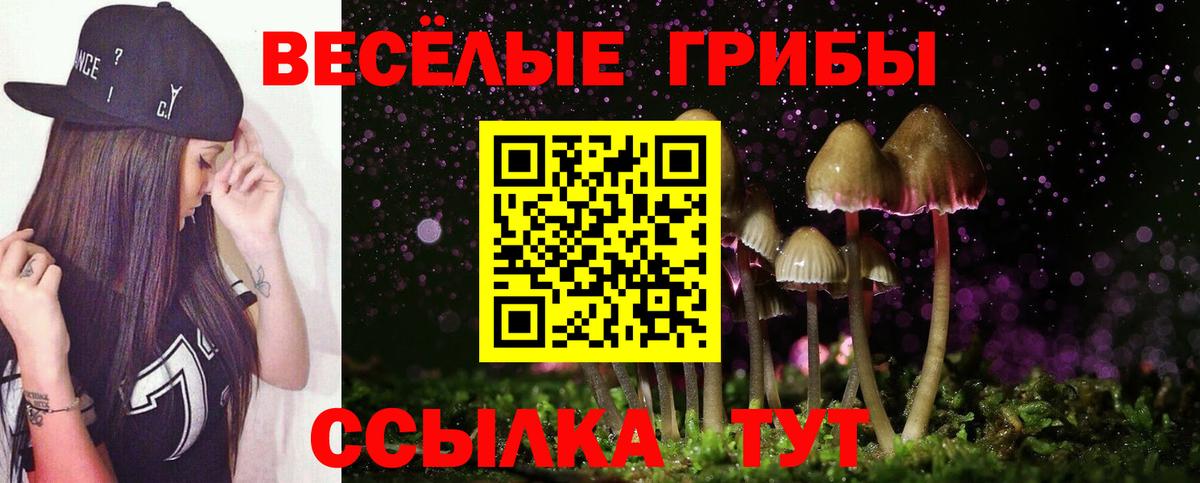 Советск  Галлюциногенные грибы Cubensis  Псилоцибиновые грибы Magic Shrooms  Вход с VPN 