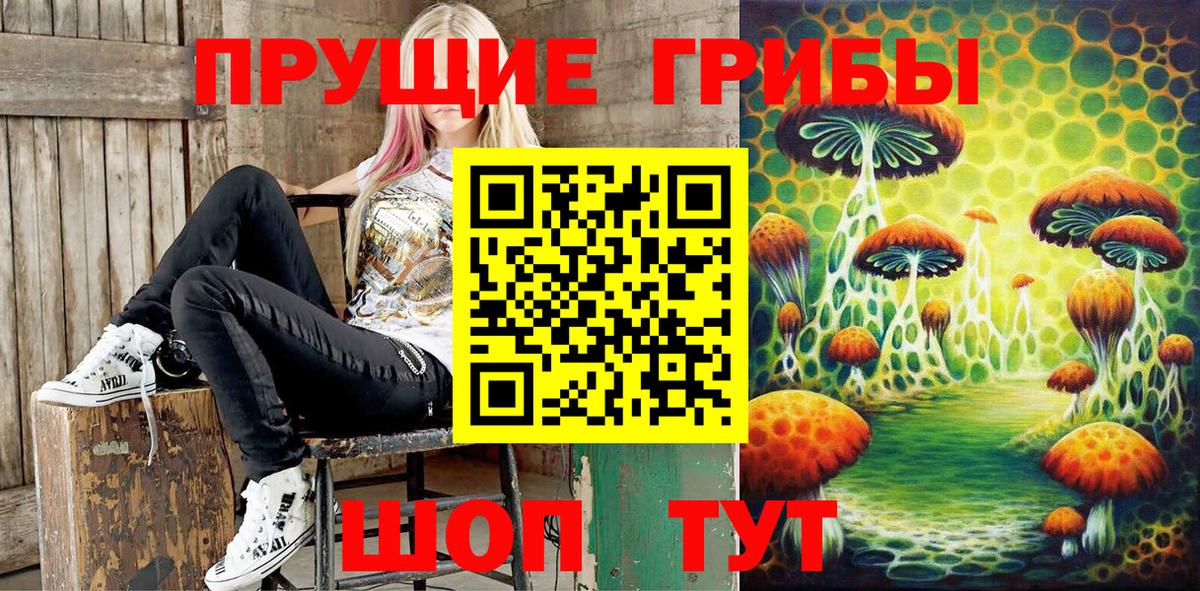 Галлюциногенные грибы прущие грибы Советск