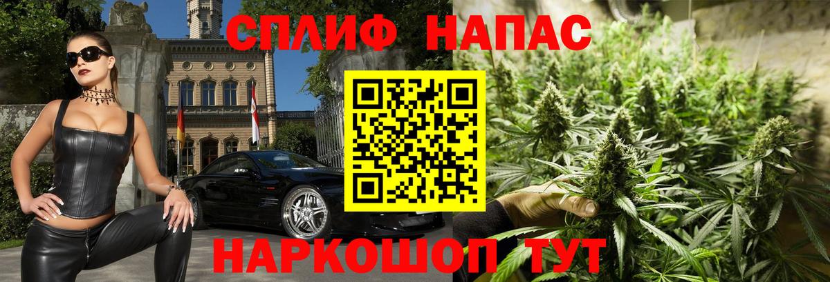 Конопля OG Kush Советск